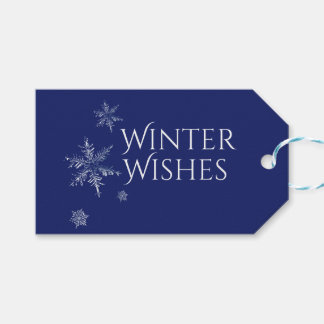 Winter wünscht Schneeflocken Geschenkanhänger