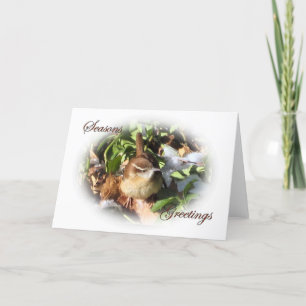 Winter-Zaunkönig Feiertagskarte