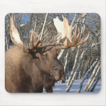 Winter-Zuhause Mousepad