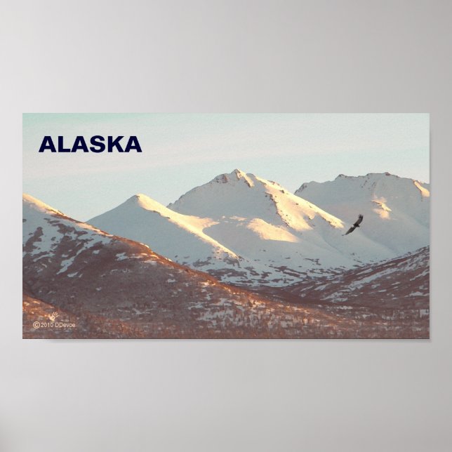 Winteradler Poster (Vorne)