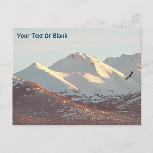 Winteradler Postkarte (Vorderseite)