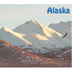 Winteradler und -gebirge fotoskulptur magnet