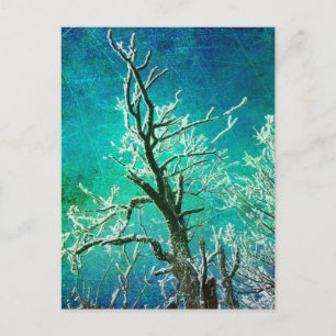 Winterbaum gefroren postkarte