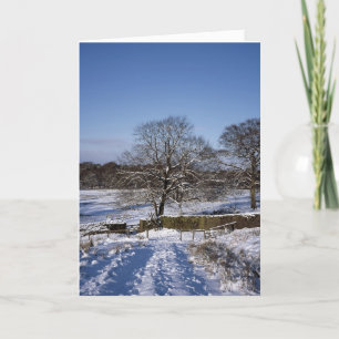 Winterbaum Lyme Park Ferienkarte Feiertagskarte