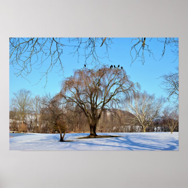 Winterbaum mit Vögeln Poster (Vorne)