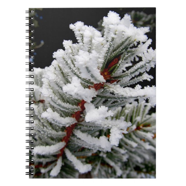 Winterbaum-Notebook Notizblock (Vorderseite)