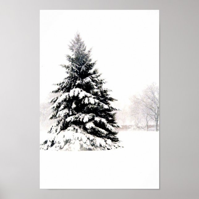 Winterbaum Poster (Vorne)