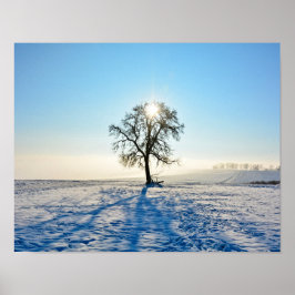 Winterbaum - - poster