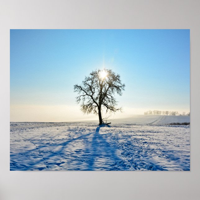 Winterbaum - - poster (Vorne)