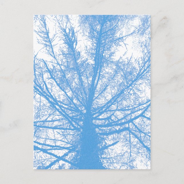 WINTERBAUM POSTKARTE (Vorderseite)