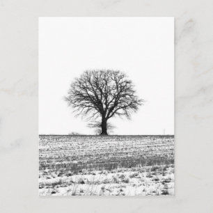 Winterbaum Postkarte