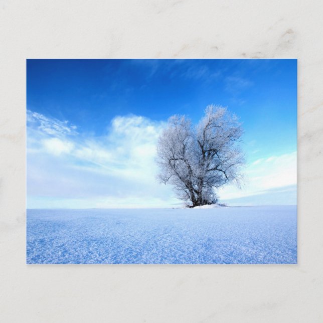 Winterbaum Postkarte (Vorderseite)