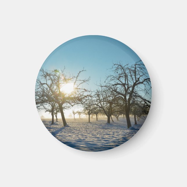 Winterbaum `s durch Sonnenaufgang - - Magnet (Vorne)