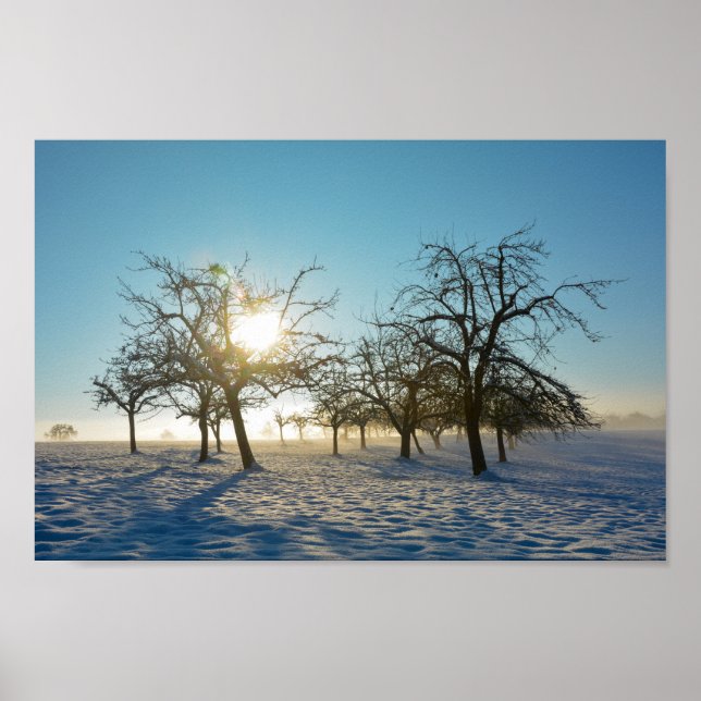 Winterbaum `s durch Sonnenaufgang - - Poster (Vorne)