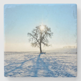 Winterbaum - - steinuntersetzer