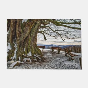 Winterbaum und Bänke Türmatte