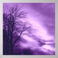 Winterbaum und Himmel im Lila