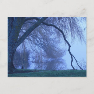 Winterbaum und See Postkarte