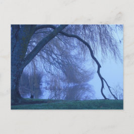 Winterbaum und See Postkarte