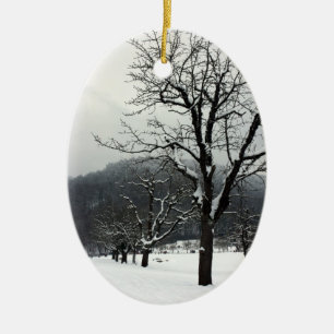 Winterbäume. Arlesheim, die Schweiz Keramikornament