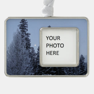Winterbäume bei Morgendämmerung Montana Landschaft Rahmen-Ornament Silber
