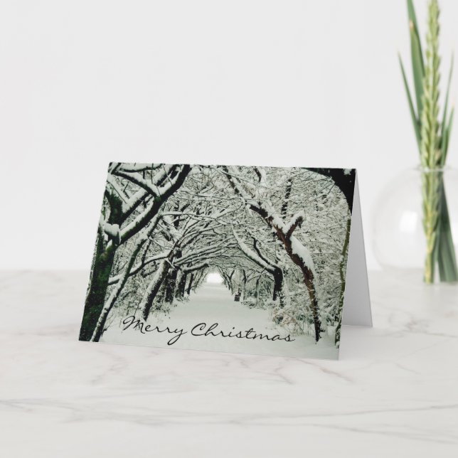 Winterbäume Feiertagskarte (Vorderseite)