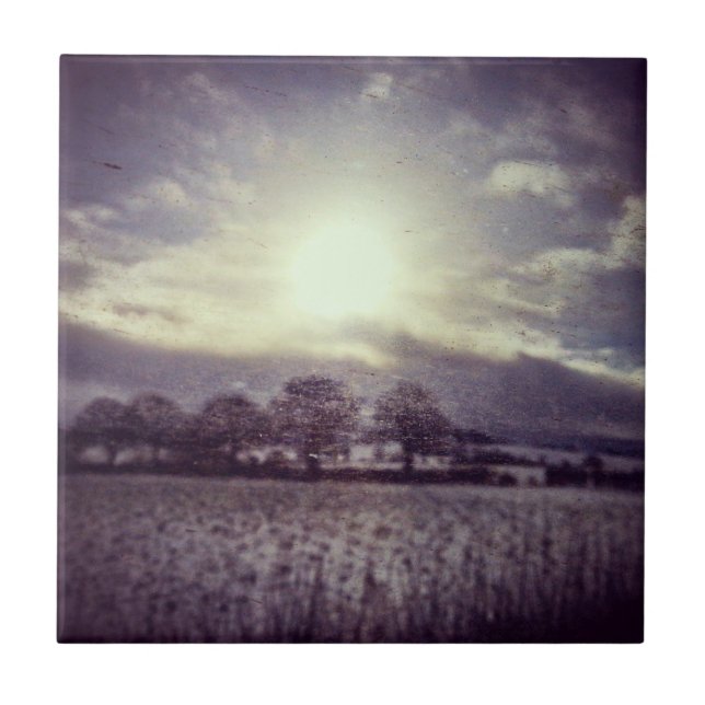 Winterbäume Felder und Hügel aus dem Fenster des Z Fliese (Vorderseite)