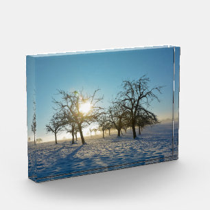 Winterbäume   -     - fotoblock