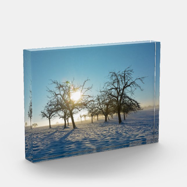 Winterbäume - - fotoblock (Links)