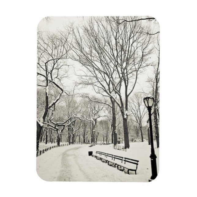 Winterbäume im Schnee bedeckt Magnet (Vertikal)