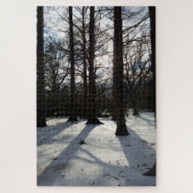 Winterbäume in Sonnenlicht und Schnee