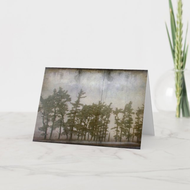 Winterbäume Karte (Vorderseite)