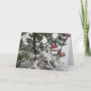 Winterbäume mit Schnee beladen Feiertagskarte