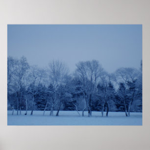 Winterbäume Poster