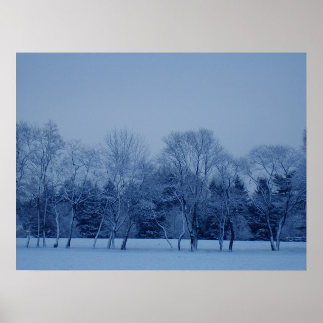 Winterbäume Poster (Vorne)