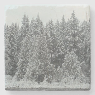 Winterbaume Steinuntersetzer