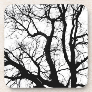 Winterbäume Untersetzer Schwarzweißfotografie