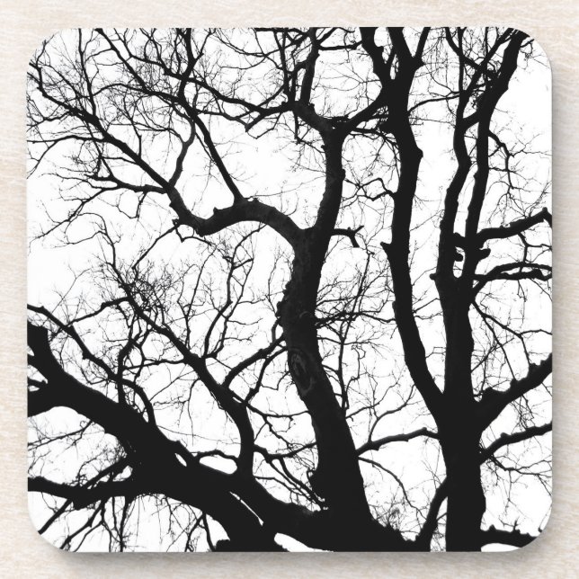 Winterbäume Untersetzer Schwarzweißfotografie (Vorderseite)