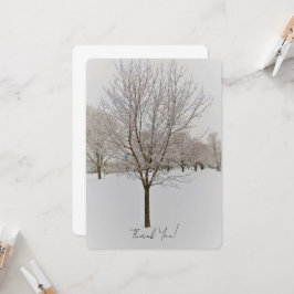 Winterbaumfotografie
