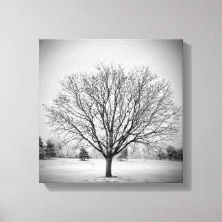 Winterbaumgestreichte Canvas drucken Leinwanddruck
