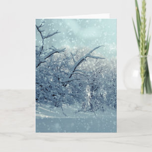 Winterbaumlandschaft Karte