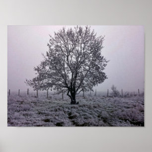 Winterbaumlandschaft Poster