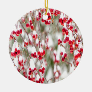 Winterbeeren Rot Weiße Weihnachtsfarben Schnee Hol Keramik Ornament