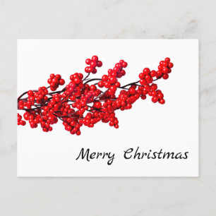 Winterbeeren und Weihnachtsfreude Feiertags-Postka Feiertagspostkarte