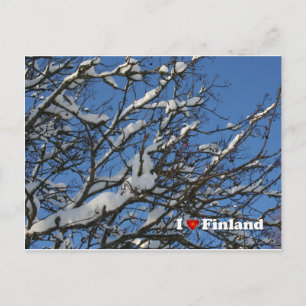 Winterberries Postkarte