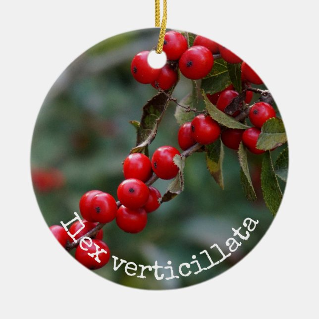 Winterberry-Stechpalme botanisch Keramik Ornament (Vorne)