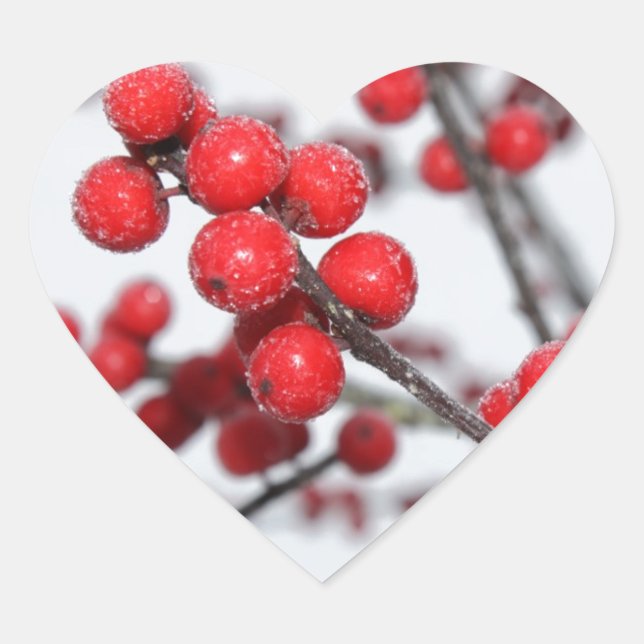 Winterberry-Sticker Herz-Aufkleber (Vorderseite)