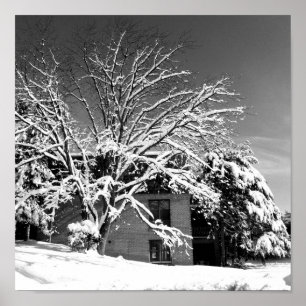 Winterblase B+W Poster