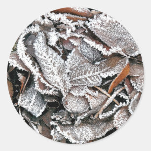 WINTERBLÄTTER RUNDER AUFKLEBER