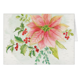 Winterblumen   Rosa blühende Poinsettia